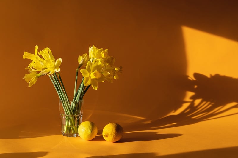Garden Decor