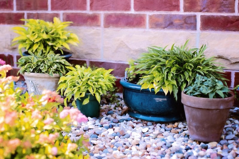 Vertical Garden with Flowerpots